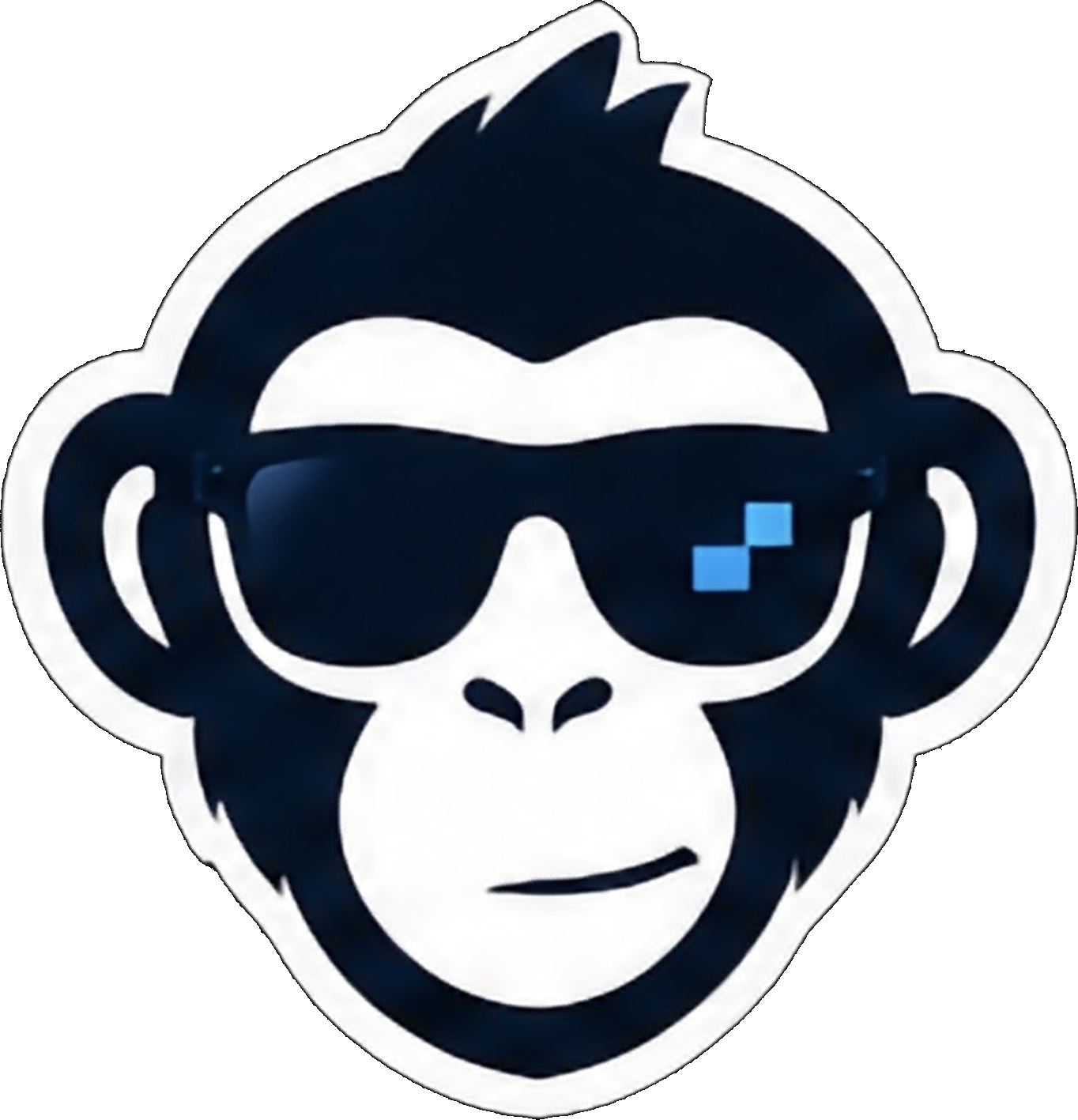 BITAFFE Logo